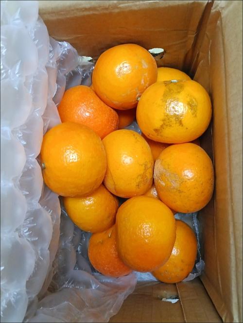 京鲜生 新鲜水果的守护者，品质生活的传递者