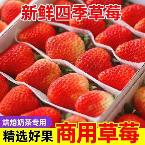 双流草莓季 当酸酸甜甜的时令草莓遇上蛋糕与茶饮