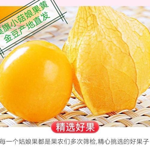 东北内蒙莫旗小姑娘果 薄皮香甜的黄金滋味，整箱尝鲜正当季